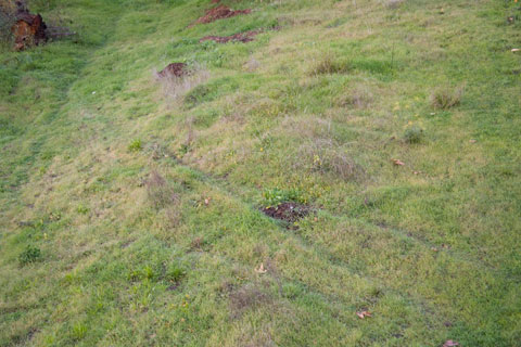 photo2